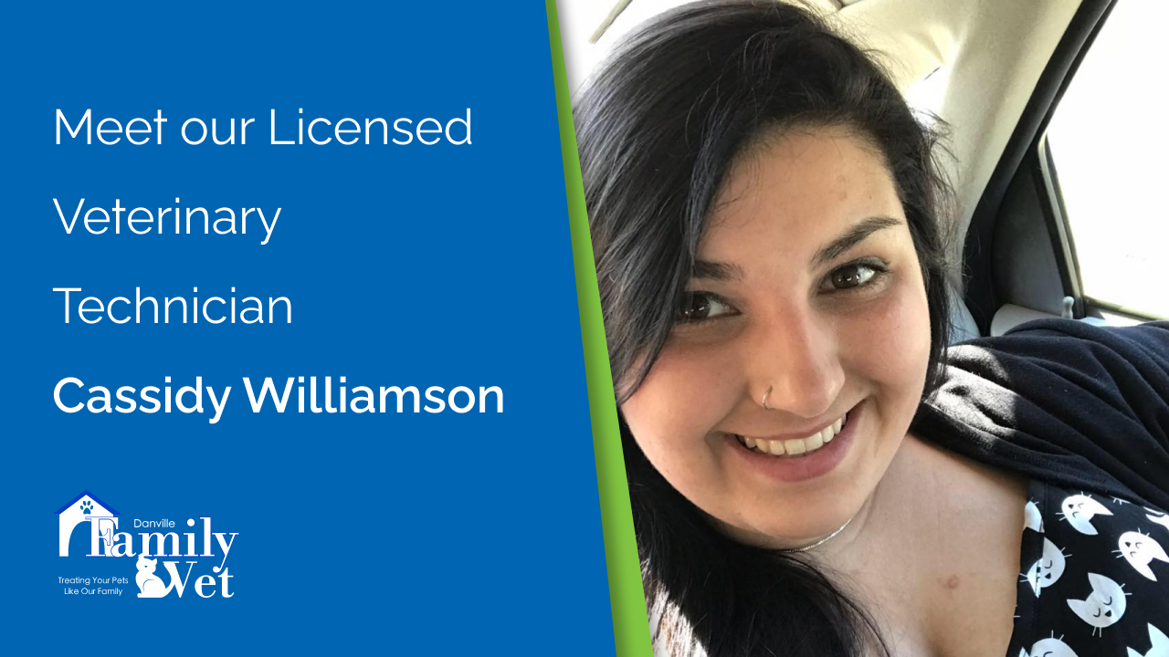 Cassidy Williamson Licensed Veterinary Technician