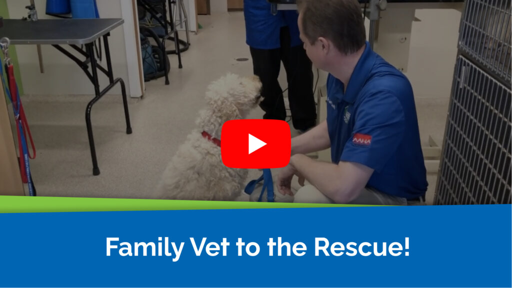 Family Vet to the Rescue