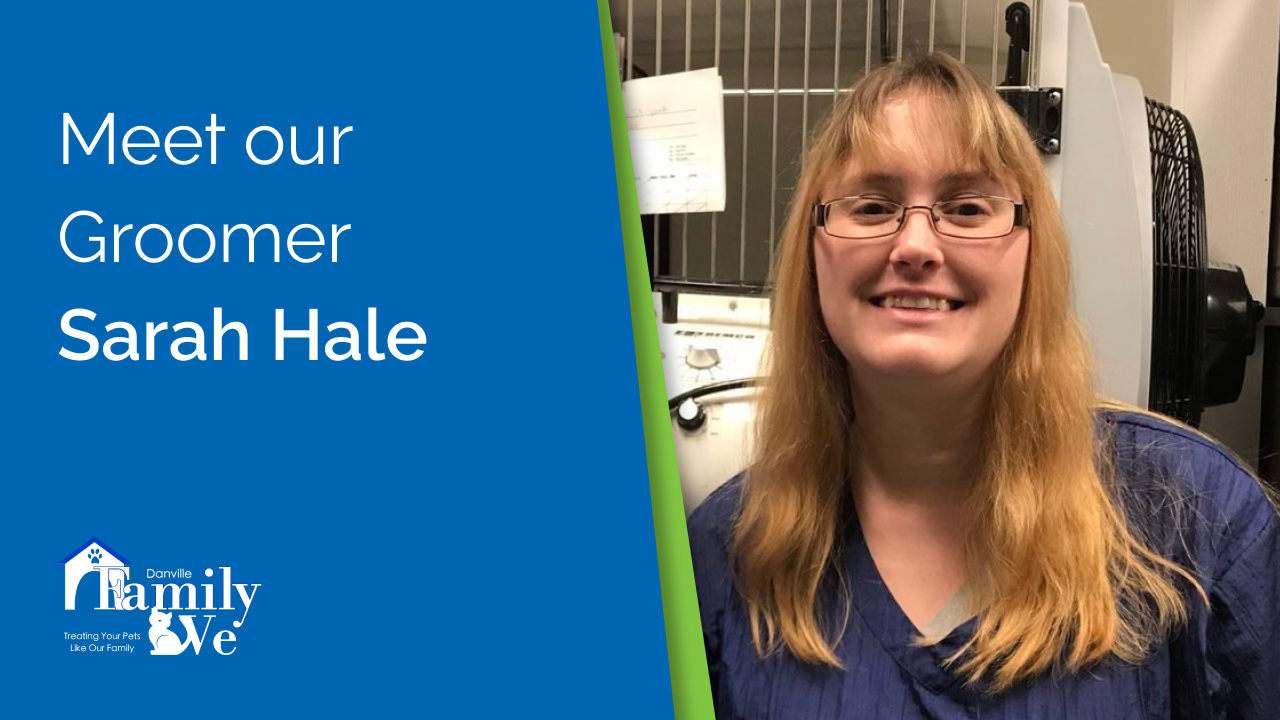 Sarah Hale Pet Resort Manager Danville Family Vet