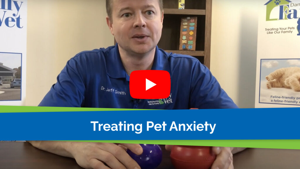 Treating Pet Anxiety