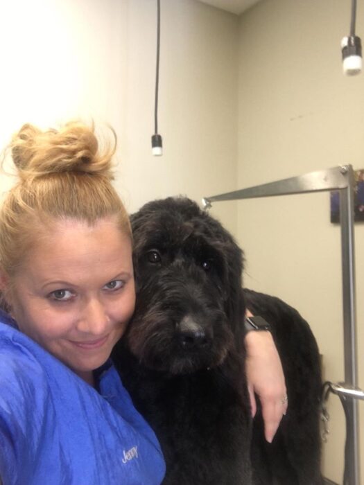 Pet Grooming in Danville, VA Family Vet