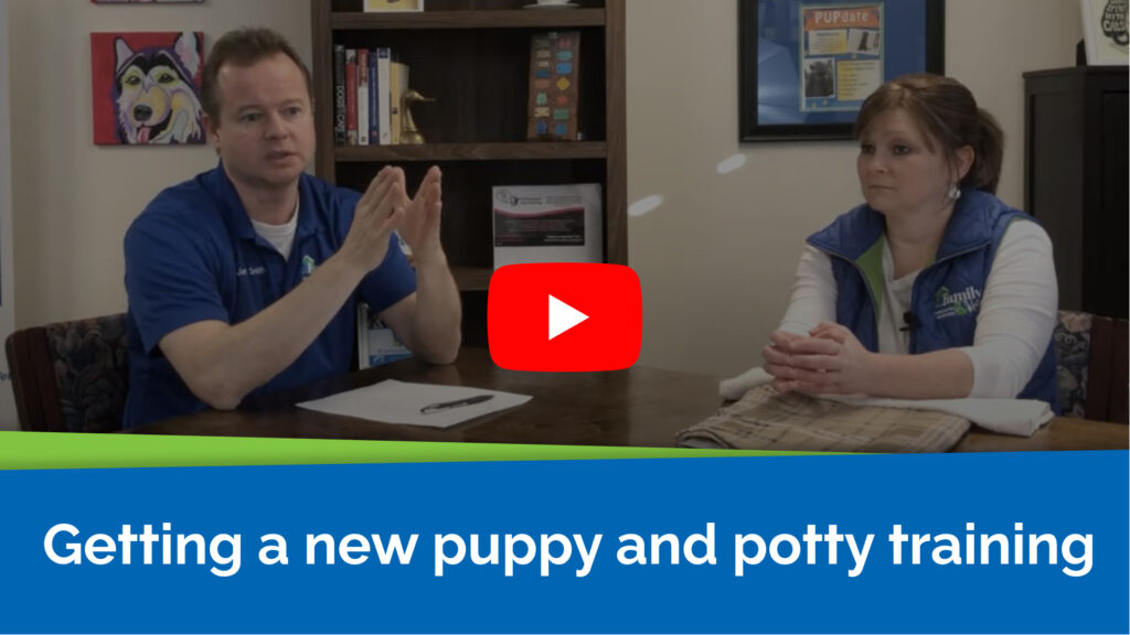 Getting a new puppy and potty training