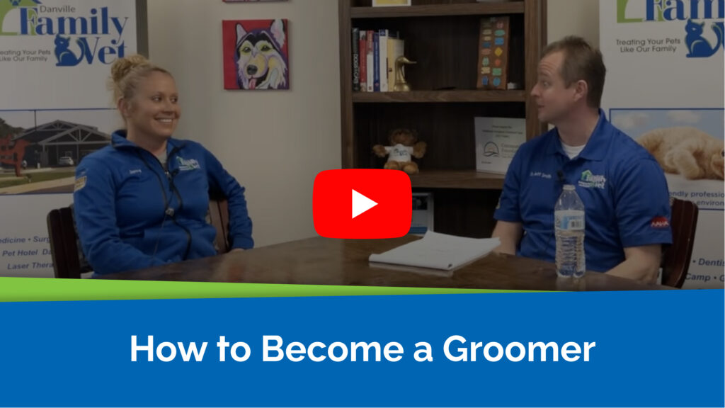 How to Become a Groomer