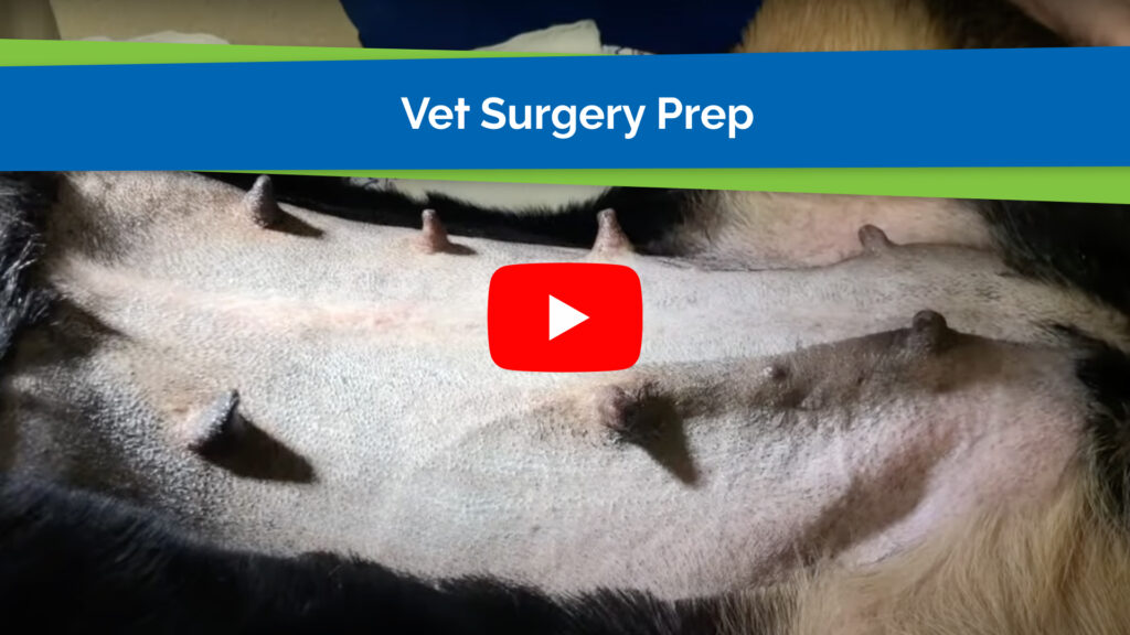 Vet Surgery Prep