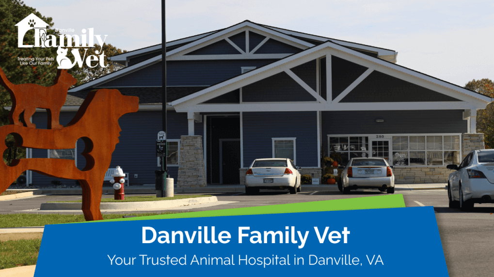 Danville-Family-Vet-Danville